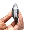 Fossiler Orthoceras - 1