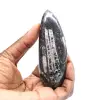 Fossiler Orthoceras - 1