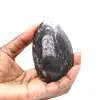 Fossiler Orthoceras aus Marokko - 1