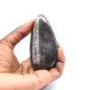 Fossiler Orthoceras - 1