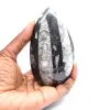 Fossiler Orthoceras - 1