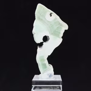 Authentische polierte grüne Aragonit-Stein-Scheibe