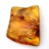 Baltischer Bernstein, Fossilienharz – Kieselstein für Liebhaber - 0