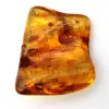 Baltischer Bernstein, Fossilienharz – Kieselstein für Liebhaber - 2