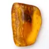 Baltischer Bernstein – Mineralogie-Kieselstein - 0