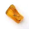 Mini-Baltikum-Gelbbernstein-Kieselstein – Fossil zur Dekoration - 0