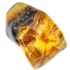 Authentischer, polierter Bernsteinkiesel aus Litauen – Mineralogisches Exemplar - 0
