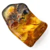 Authentischer, polierter Bernsteinkiesel aus Litauen – Mineralogisches Exemplar - 2