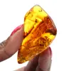 Polierter baltischer Bernstein: Sammler-Kieselstein - 1
