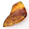 Polierter baltischer Bernstein: Sammler-Kieselstein - 2