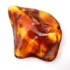 Polierter litauischer Bernstein: Kieselstein für die Fossiliensammlung - 2