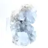 Dekoratives Exemplar blauer Coelestin Madagaskar - 2