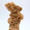 Authentische Mineralsandrose - 3