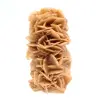 Fossile Sandrose aus Tunesien - 0