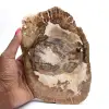Versteinertes Holz Ornament, polierte Scheibe, Sammlerstück, Madagaskar - 0