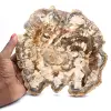 Versteinertes Holz (Scheibe), poliertes Ornament, Sammlerstück, Madagaskar - 0