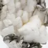 Kleines Exemplar von Glimmer auf weißem Quarz - 7