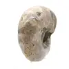 Polierter Ammonit – Kleines Sammlerstück aus Madagaskar (80 g) - 3