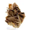 Kleine marokkanische braune Baryta - 2