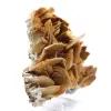 Braune Barytkristalle aus Ouichane - 3