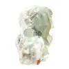 Roher grüner Fluoritstein: Kristallisierte Probe auf Gestein - 3