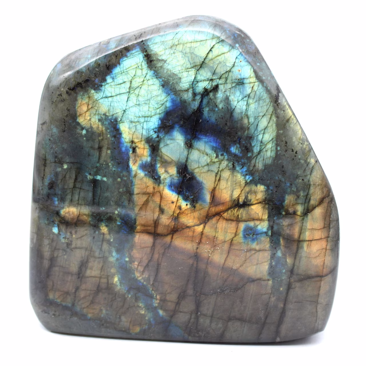 Polierter Labradorit, mineralogisches Exemplar