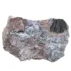 Pyrolusit, authentisches Exemplar auf Matrix - 0