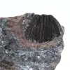 Pyrolusit, authentisches Exemplar auf Matrix - 2