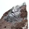 Pyrolusit, ein Sammlerstein mit wunderschönen Kristallisationen - 2