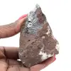 Pyrolusit, ein Sammlerstein mit wunderschönen Kristallisationen - 1