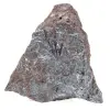 Pyrolusit, authentisches Exemplar auf Matrix - 6