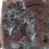 Marokkanischer Pyrolusit, authentische Kristallisation - 2