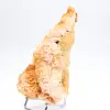 Oranger Baryt aus Marokko, kristallisiertes Exemplar - 1