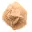 Kleine Wüstenrose Marokkos: natürliches geologisches Fragment — 5