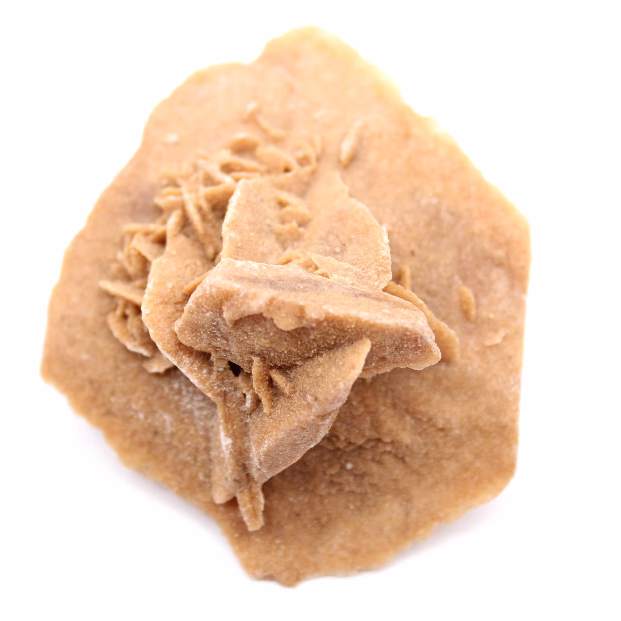 Gipsrosette aus Marokko: Naturkristall aus der Sahara