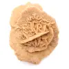 Kleine Wüstenrose Marokkos: natürliches geologisches Fragment - 9