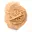 Kleine Wüstenrose Marokkos: natürliches geologisches Fragment — 9