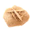 Mineralrosette von Marokko: Gipskristallisation - 0