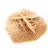 Mineralrosette von Marokko: Gipskristallisation