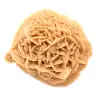 Exemplar der marokkanischen Wüstenrose: dichte Kristallisation - 2