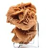 Wüstenrose der algerischen Sahara - 2