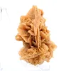 Fragment von kristallisiertem Gips aus Algerien - 3
