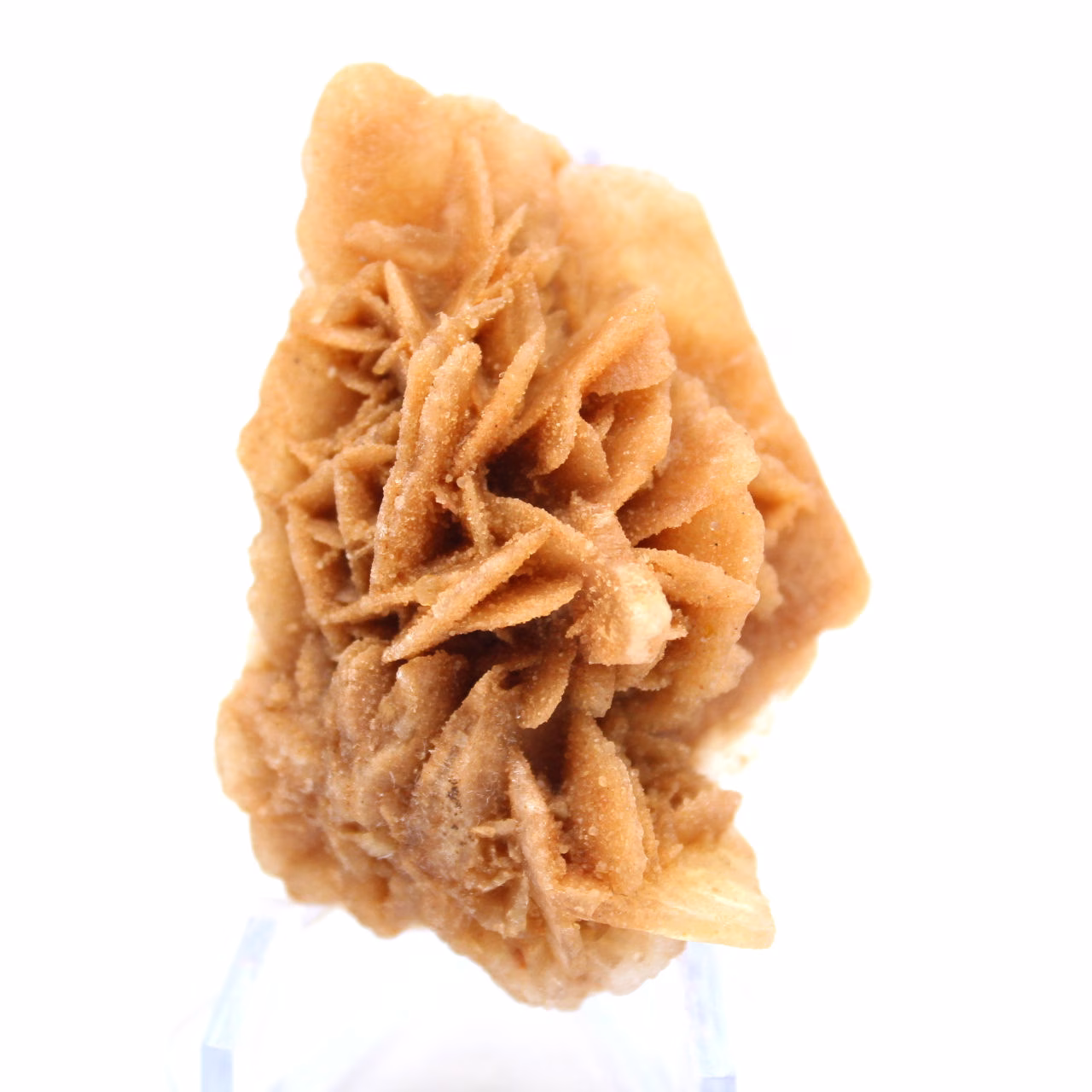 Fragment von kristallisiertem Gips aus Algerien
