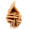 Mineralienbouquet aus kristallisiertem Sand - 3