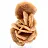 Mineralienbouquet aus kristallisiertem Sand