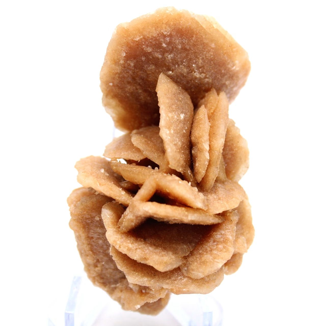 Mineralienbouquet aus kristallisiertem Sand