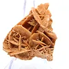 Mineralische Blütenblätter der algerischen Sahara - 2