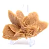 Authentische Gipskristallisation - 2