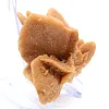 Authentische Gipskristallisation - 3