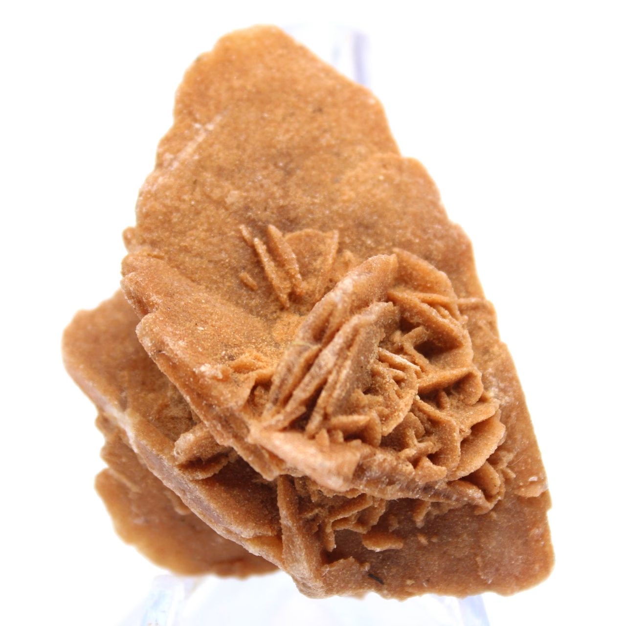 Mineralogische Probe von Sand und Salz
